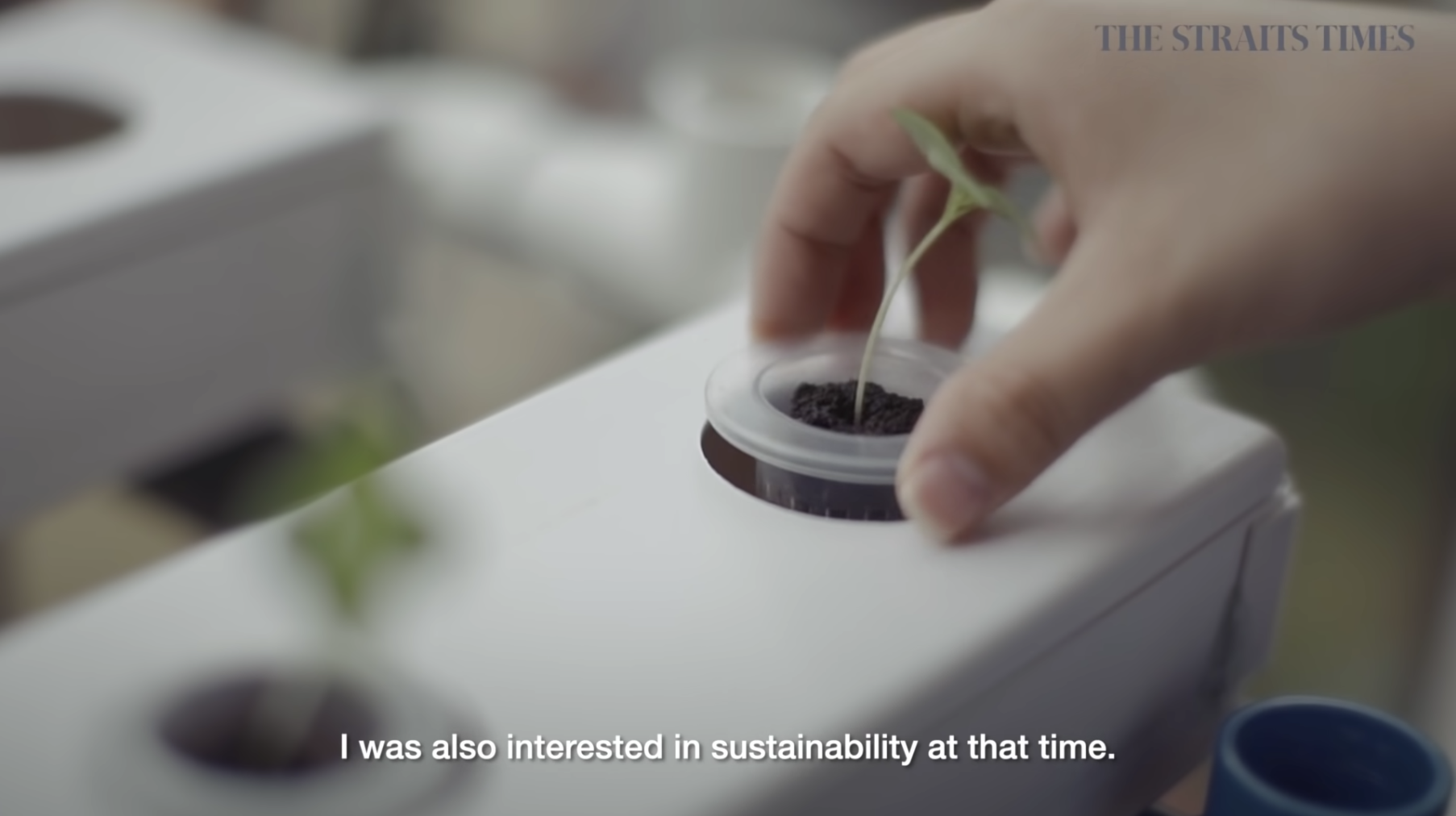 YouTube screenshot hyperlinked to Teen grows sustainable hydroponics farm at home video
